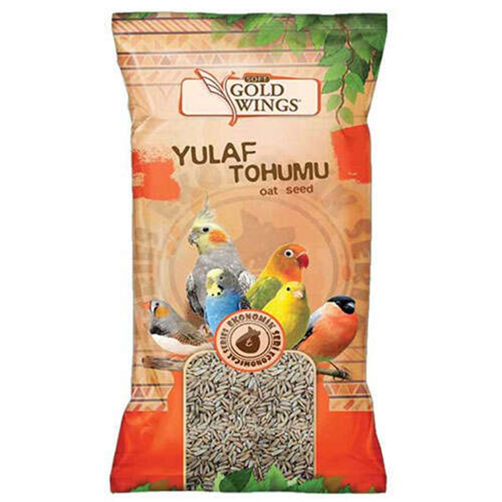 Gold Wings Yulaf 300 gr Sade Yulaf Kanarya Muhabbet Kuşu Bülbül Yemi