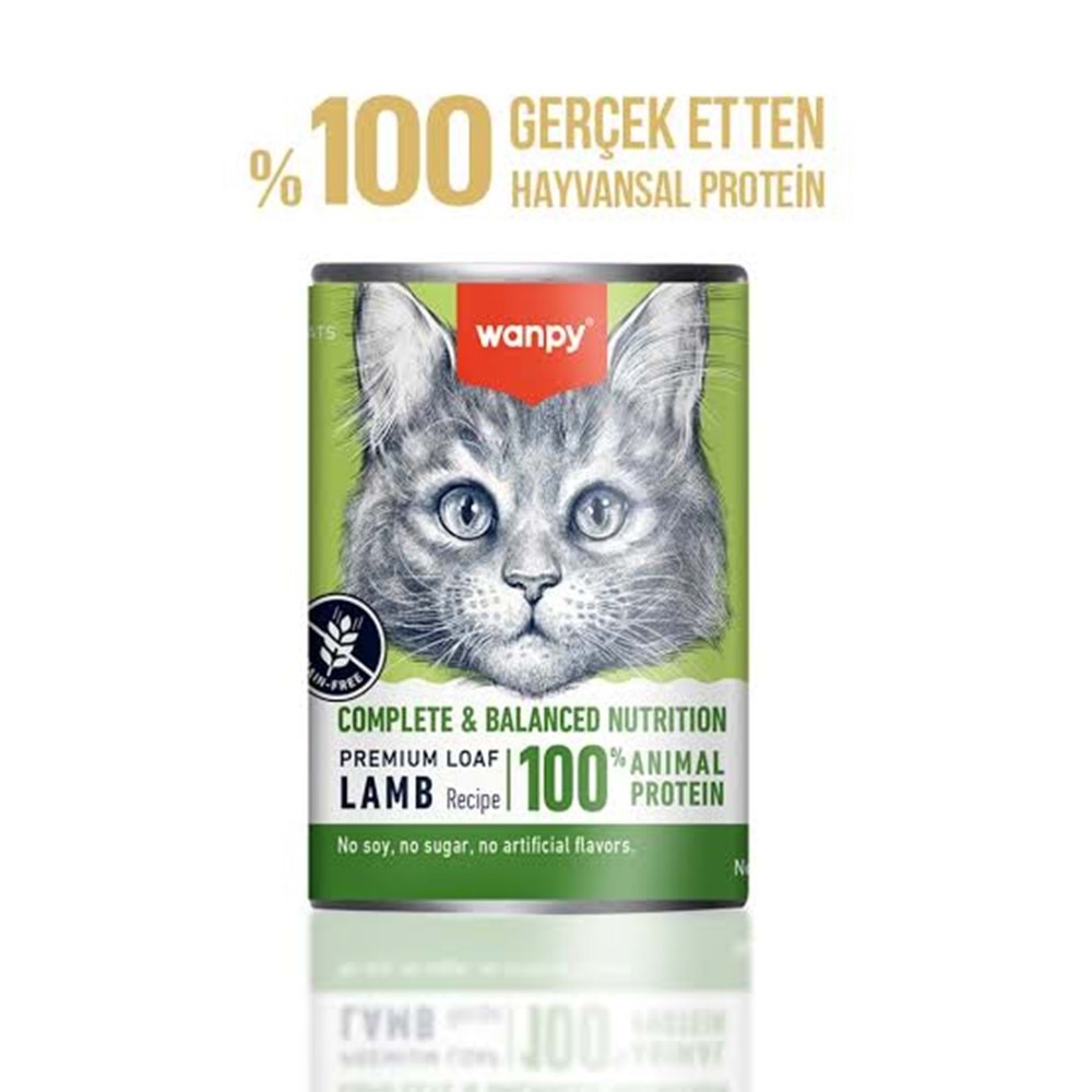Wanpy Kuzu Etli 375g Tahılsız Konserve Kedi Maması Skin & Coat