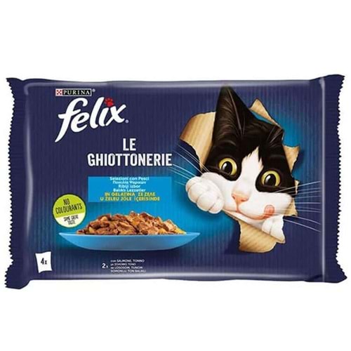 Felix Somonlu & Ton Balıklı 4lü Ekonomik Paket Pouch Yetişkin Kedi Yaş Maması
