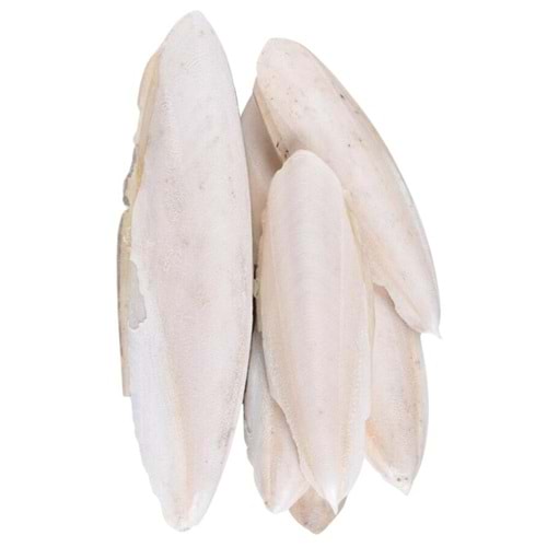 Açık Kalamar Kemiği Gaga Taşı 100g