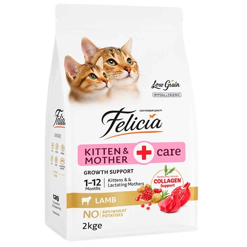 Felicia Kitten&Mother 2 Kg Kuzu Etli Kollejen Kolejenli Hypoallergenic Az Tahıllı Yavru Kedi Maması