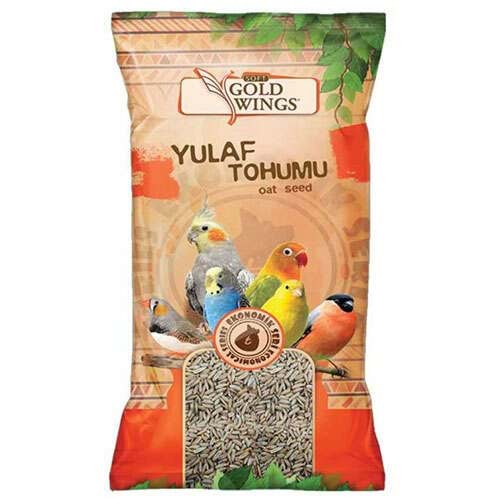 Gold Wings Yulaf 300 gr Sade Yulaf Kanarya Muhabbet Kuşu Bülbül Yemi