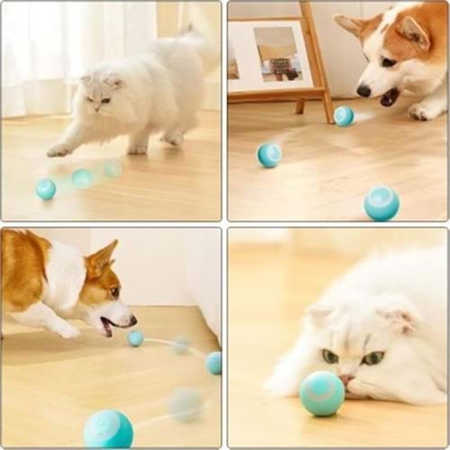Eastland Pet Gravity İnteraktif Kedi Köpek Şarjlı Top Oyuncağı